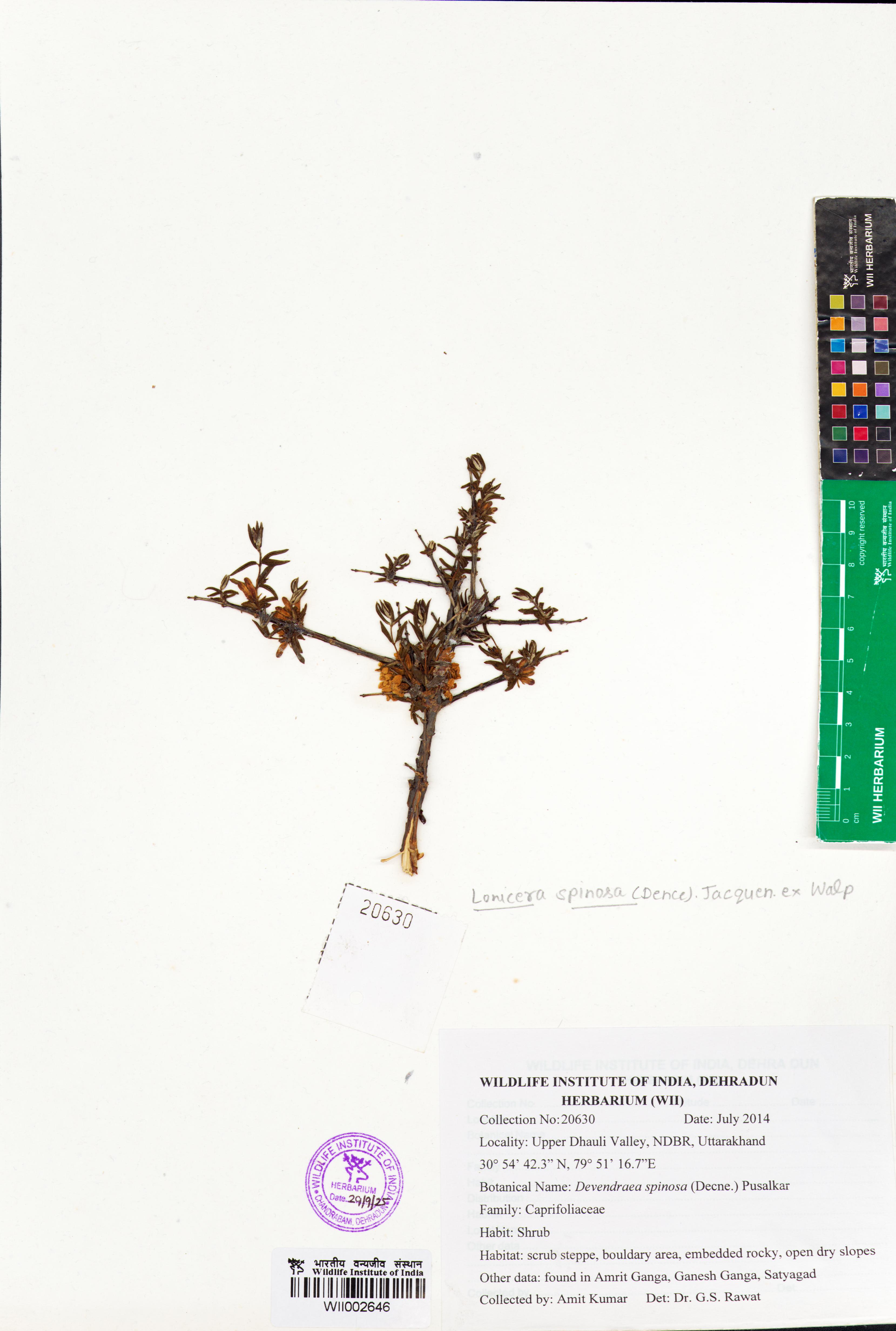 Protected Area Centric WII Herbarium
